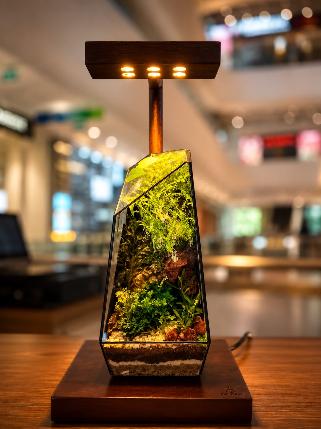 Handcrafted Arbor terrarium lamp on display