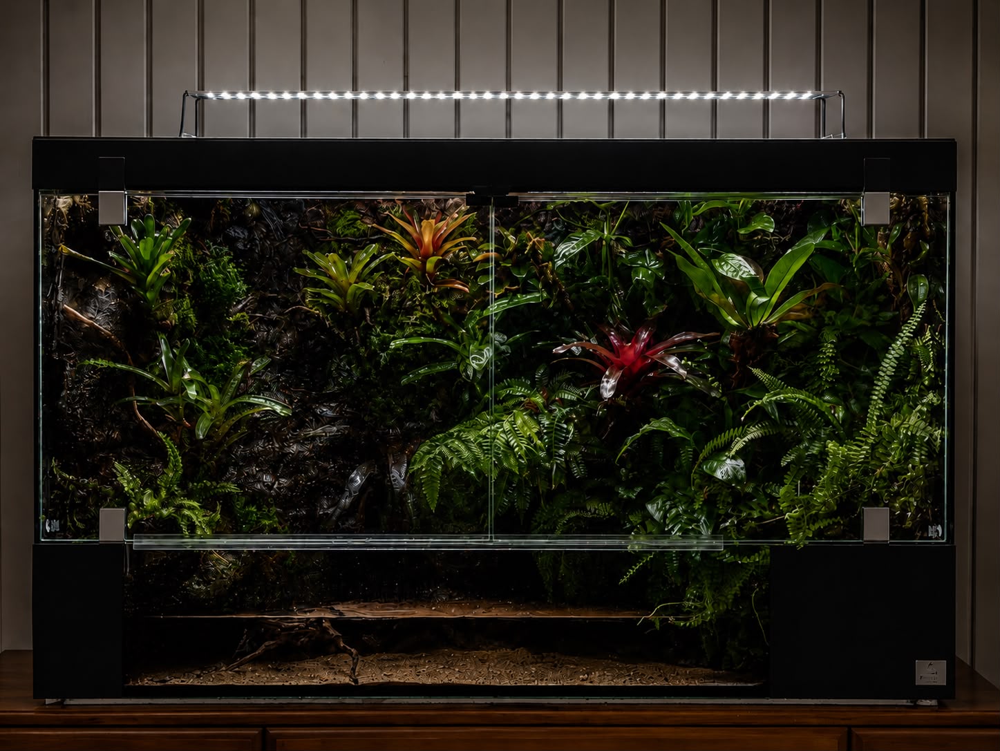 Large vivarium wall with bromeliads and ferns