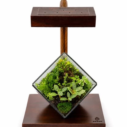 Geometric diamond-cube terrarium
