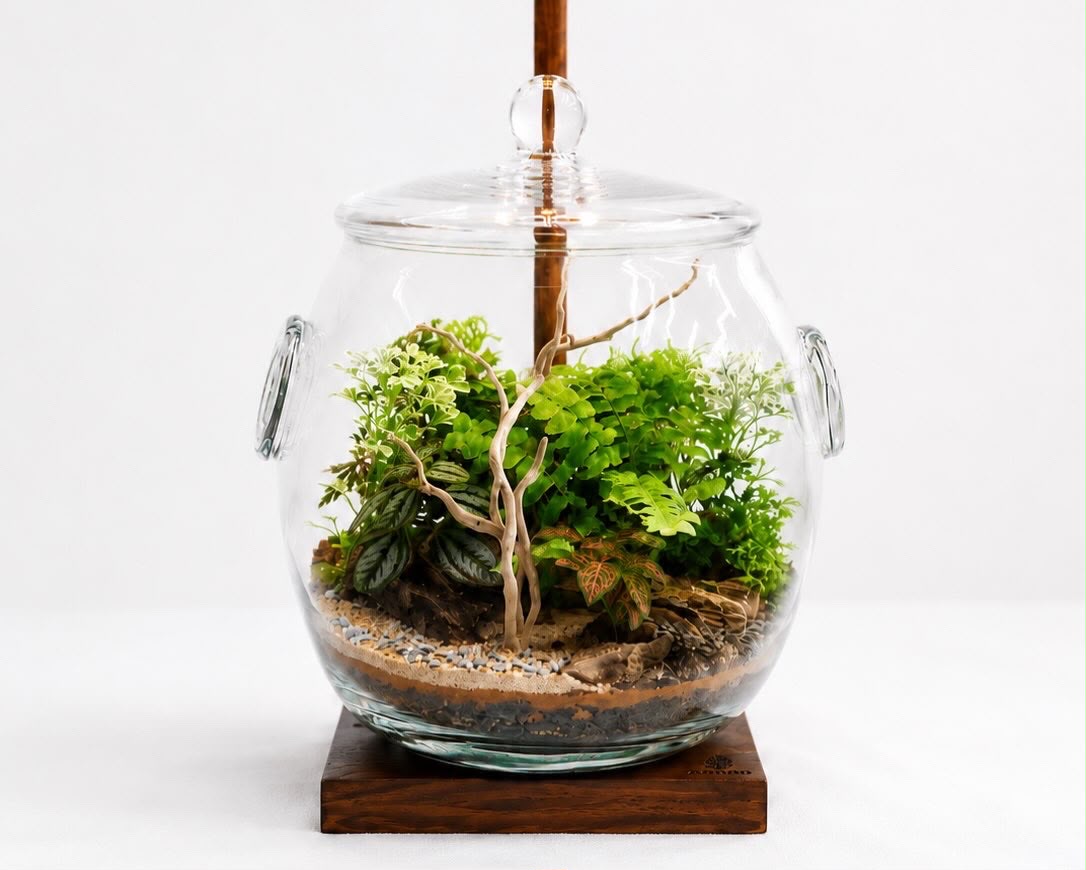 Round jar terrarium with driftwood